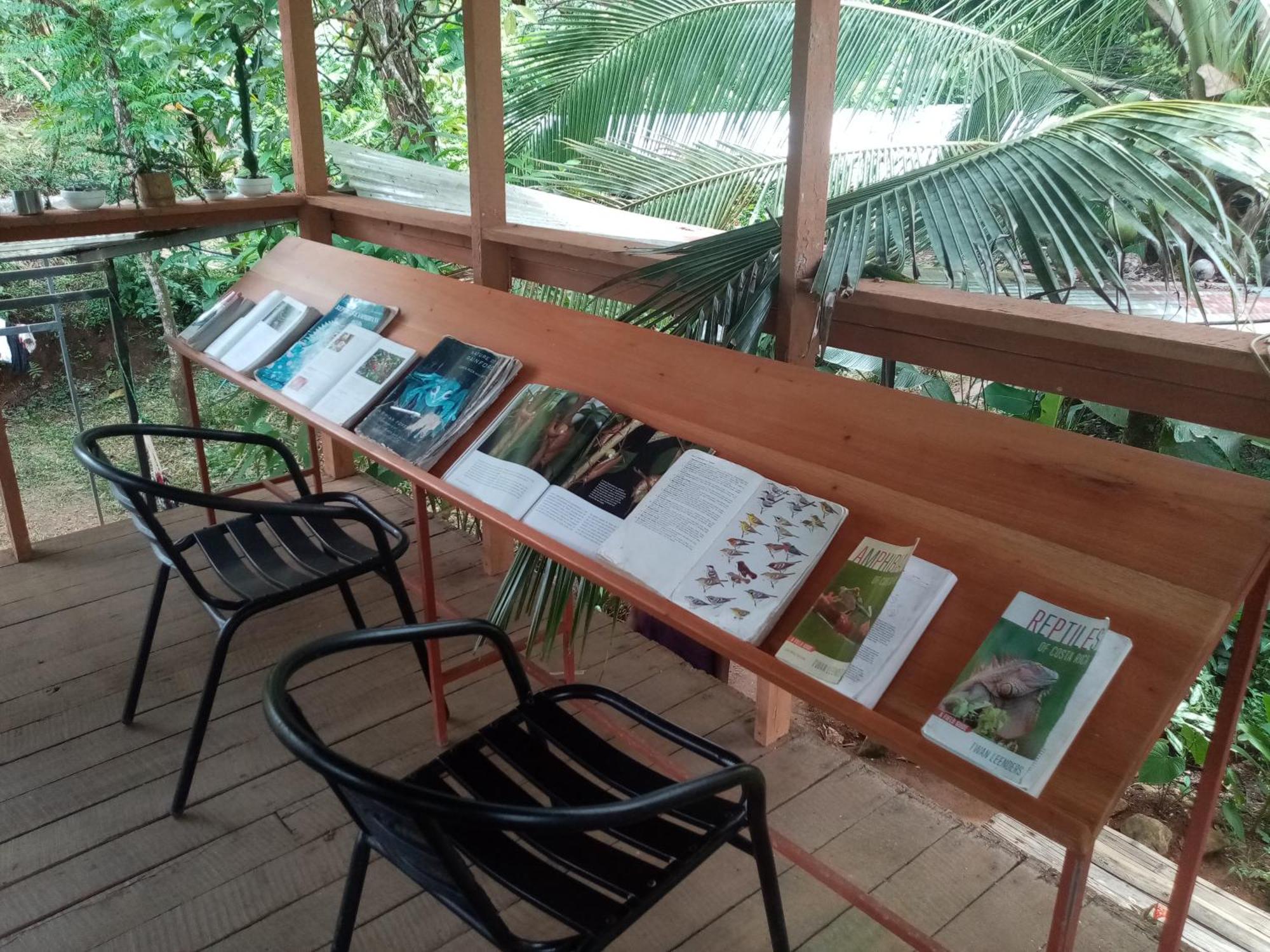 Bolita Trails And Lodging Dos Brazos 外观 照片